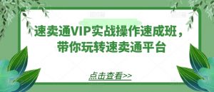 速卖通VIP实战操作速成班,带你玩转速卖通平台-小鸿资源库