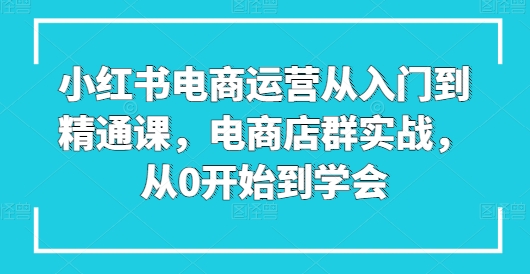 小红书电商运营从入门到精通课,电商店群实战,从0开始到学会-小鸿资源库
