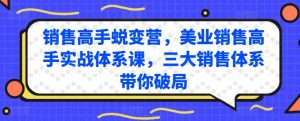 销售高手蜕变营,美业销售高手实战体系课,三大销售体系带你破局-小鸿资源库