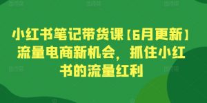 小红书笔记带货课【6月更新】流量电商新机会，抓住小红书的流量红利-小鸿资源库