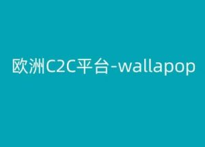 欧洲C2C平台-wallapop-kim跨境电商教程-小鸿资源库