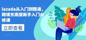 lazada从入门到精通，跨境东南亚新手入门必修课-小鸿资源库