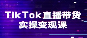TikTok直播带货实操变现课：系统起号、科学复盘、变现链路、直播配置、小店操作流程、团队搭建等。-小鸿资源库