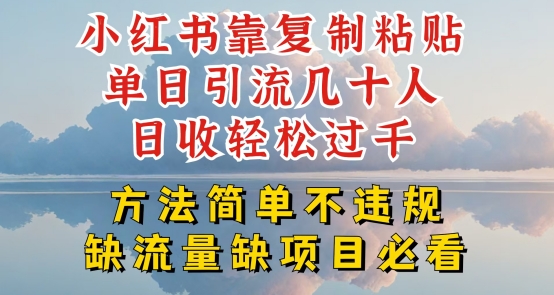 小红书靠复制粘贴单日引流几十人目收轻松过千，方法简单不违规【揭秘】-小鸿资源库