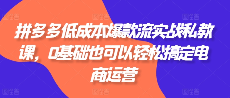 拼多多低成本爆款流实战私教课，0基础也可以轻松搞定电商运营-小鸿资源库