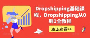 Dropshipping基础课程，Dropshipping从0到1全教程-小鸿资源库