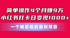 简单操作4个月赚9w,小红书打卡日变现1k,一个被忽视的暴力项目【揭秘】-小鸿资源库