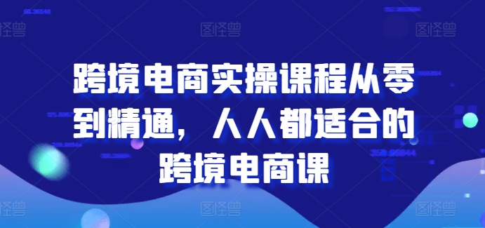 跨境电商实操课程从零到精通,人人都适合的跨境电商课-小鸿资源库
