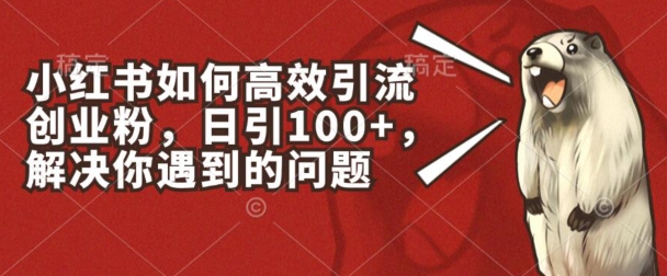 小红书如何高效引流创业粉，日引100+，解决你遇到的问题【揭秘】-小鸿资源库