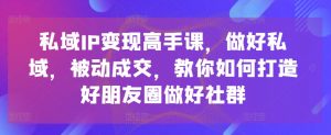 私域IP变现高手课，做好私域，被动成交，教你如何打造好朋友圈做好社群-小鸿资源库