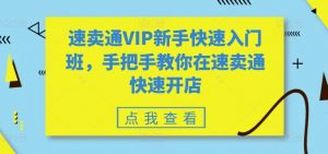 速卖通VIP新手快速入门班，手把手教你在速卖通快速开店-小鸿资源库