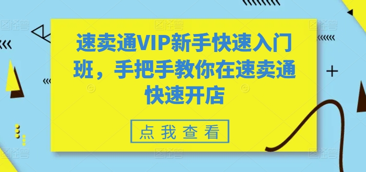 速卖通VIP新手快速入门班，手把手教你在速卖通快速开店-小鸿资源库