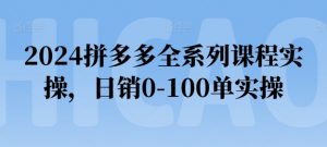 2024拼多多全系列课程实操，日销0-100单实操【必看】-小鸿资源库