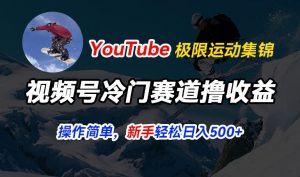 视频号冷门赛道撸收益，YouTube搬运极限运动集锦，暴力起号，操作简单流量高，轻松日入5张【揭秘】-小鸿资源库