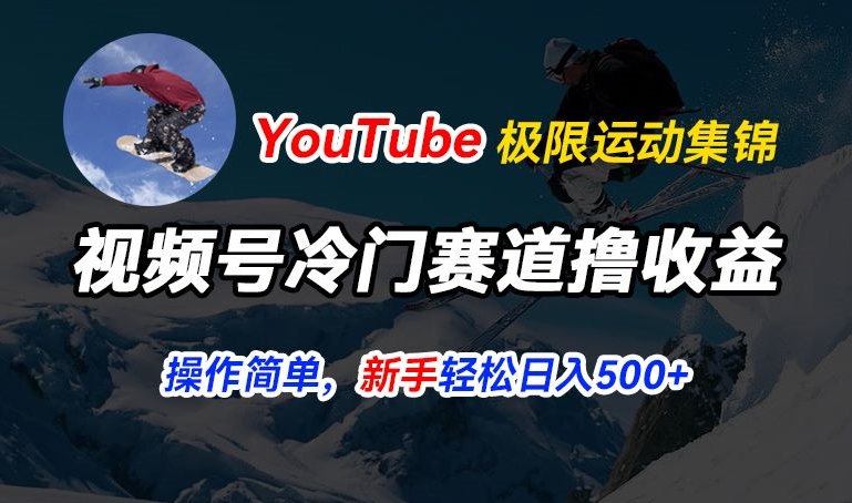 视频号冷门赛道撸收益，YouTube搬运极限运动集锦，暴力起号，操作简单流量高，轻松日入5张【揭秘】-小鸿资源库