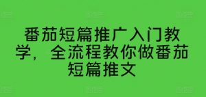 番茄短篇推广入门教学，全流程教你做番茄短篇推文-小鸿资源库