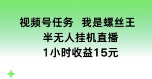 视频号任务，我是螺丝王， 半无人挂机1小时收益15元【揭秘】-小鸿资源库
