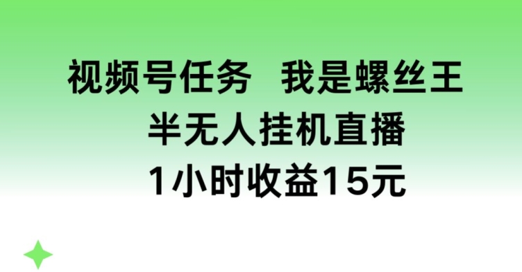 视频号任务，我是螺丝王， 半无人挂机1小时收益15元【揭秘】-小鸿资源库