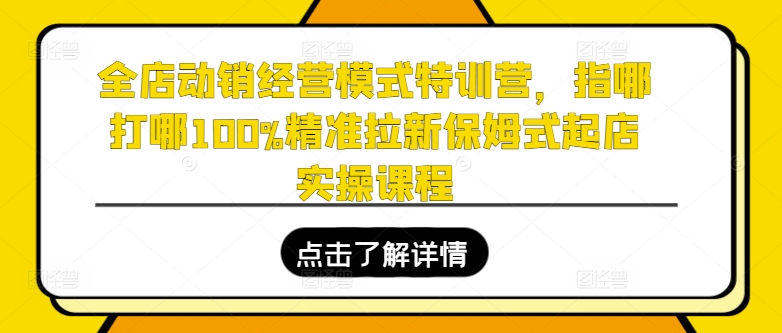 全店动销经营模式特训营，指哪打哪100%精准拉新保姆式起店实操课程-小鸿资源库