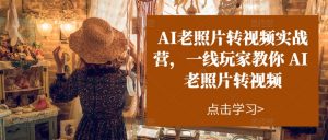 AI老照片转视频实战营,一线玩家教你AI老照片转视频-小鸿资源库