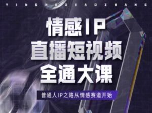 情感IP直播短视频全通大课，普通人IP之路从情感赛道开始-小鸿资源库