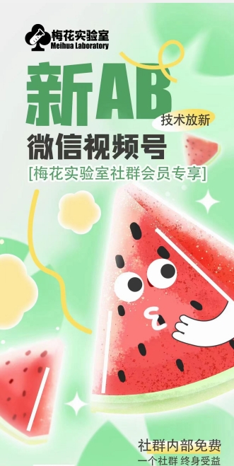 梅花实验室2024年AB技术视频号AB合成破解版-小鸿资源库