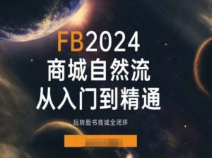 2024Faceboo商城自然流(从入门到精通)，玩转脸书商城全闭环-小鸿资源库