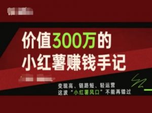 价值300万的小红书赚钱手记，变现高、链路短、轻运营，这波“小红薯风口”不能再错过-小鸿资源库