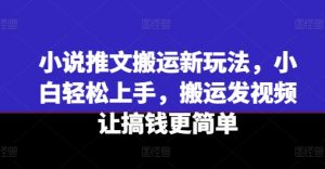 小说推文搬运新玩法，小白轻松上手，搬运发视频让搞钱更简单-小鸿资源库