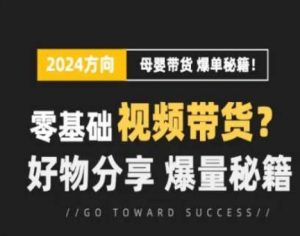 短视频母婴赛道实操流量训练营，零基础视频带货，好物分享，爆量秘籍-小鸿资源库