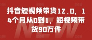 抖音短视频带货12.0,14个月从0到1,短视频带货90万件-小鸿资源库