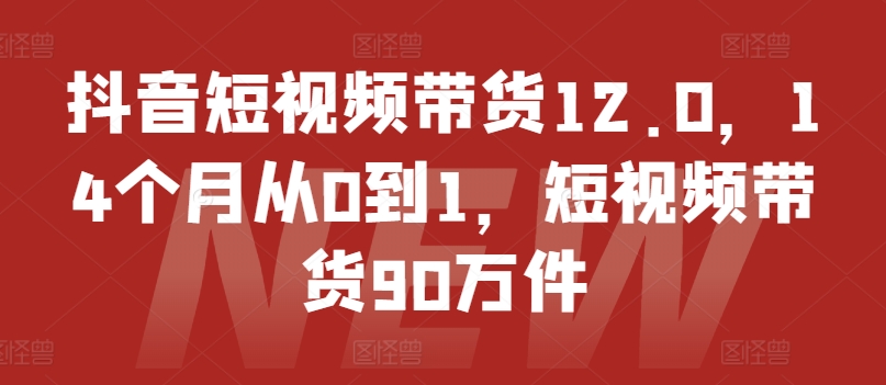 抖音短视频带货12.0,14个月从0到1,短视频带货90万件-小鸿资源库