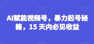 AI赋能视频号，暴力起号秘籍，15 天内必见收益【揭秘】-小鸿资源库