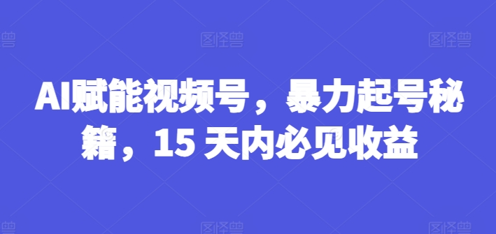 AI赋能视频号，暴力起号秘籍，15 天内必见收益【揭秘】-小鸿资源库