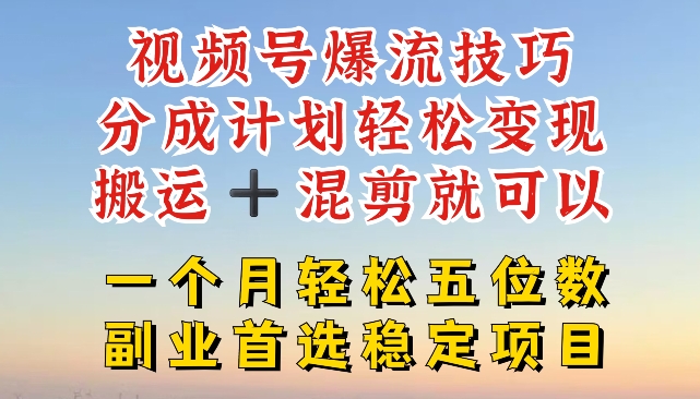 视频号爆流技巧,分成计划轻松变现,搬运 +混剪就可以,一个月轻松五位数稳定项目【揭秘】-小鸿资源库