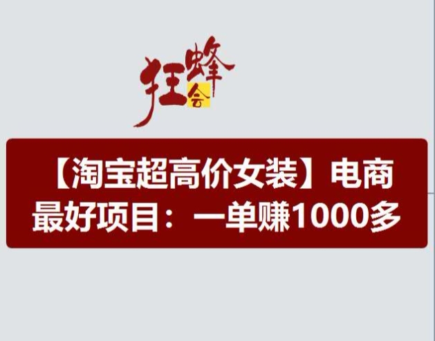 淘宝超高价女装项目，电商最好赛道，一单赚1000多-小鸿资源库