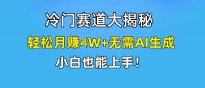 冷门赛道大揭秘,轻松月赚1W+无需AI生成,小白也能上手【揭秘】-小鸿资源库