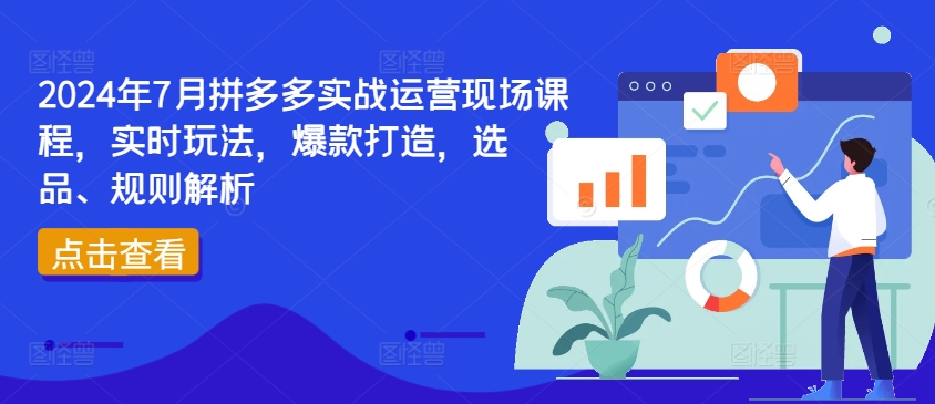 2024年7月拼多多实战运营现场课程，实时玩法，爆款打造，选品、规则解析-小鸿资源库