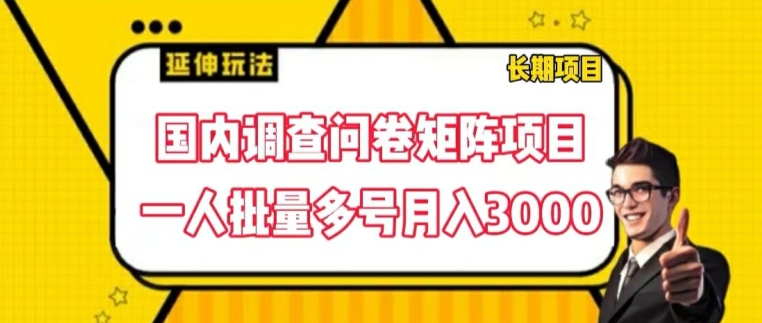 国内调查问卷矩阵项目，一人批量多号月入3000【揭秘】-小鸿资源库