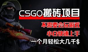 CSGO 装备搬砖项目，操作简单，不需要会玩游戏，小白也能快速上手，一个月轻松大几千【揭秘】-小鸿资源库