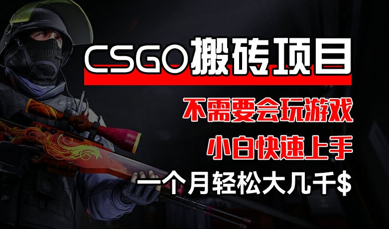 CSGO 装备搬砖项目,操作简单,不需要会玩游戏,小白也能快速上手,一个月轻松大几千【揭秘】-小鸿资源库
