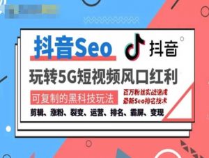 抖音SEO引流培训课程-抓住抖音风口，实现搜索排名，获取精准流量，快速成交变现-小鸿资源库