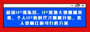 超级IP训练营，IP落地大课震撼来袭，个人IP的时代才刚刚开始，素人变网红的可行性方案-小鸿资源库