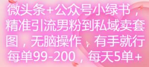 微头条+公众号小绿书,精准引流男粉到私域卖套图,无脑操作,有手就行,每单99-200,每天5单-小鸿资源库