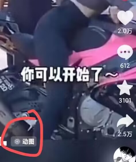 2024年7月苹果手机动图搬运技术-小鸿资源库