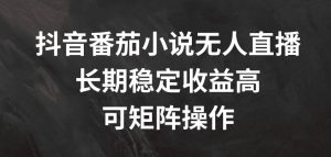 抖音番茄小说无人直播，长期稳定收益高，可矩阵操作【揭秘】-小鸿资源库