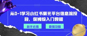 从0-1学习小红书聚光平台信息流投放，保姆级入门教程-小鸿资源库