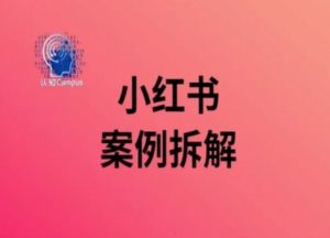 小红书案例拆解，深度解读小红书40万粉-小鸿资源库