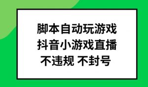 脚本自动玩游戏，抖音小游戏直播，不违规不封号可批量做【揭秘】-小鸿资源库