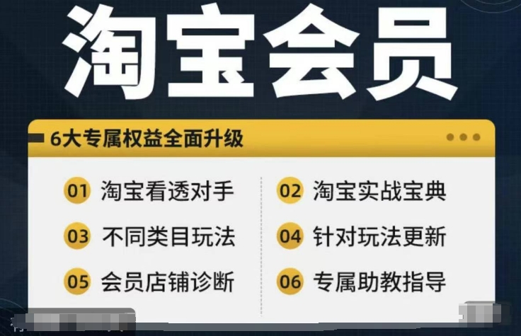 淘宝会员【淘宝所有课程，全面分析对手】，初级到高手全系实战宝典-小鸿资源库